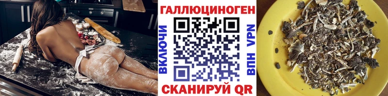 закладка  mega tor  Псилоцибиновые грибы Cubensis  Москва 